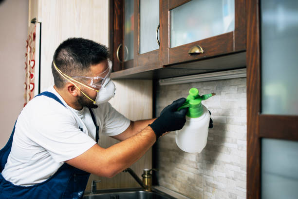 Best Bed Bug Extermination  in Springville, VA