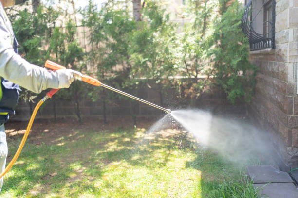 Best Best Pest Control Companies  in Springville, VA