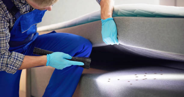 Best Commercial Pest Control Services  in Springville, VA