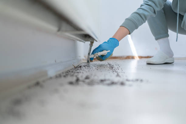 Best Wildlife Control Services  in Springville, VA